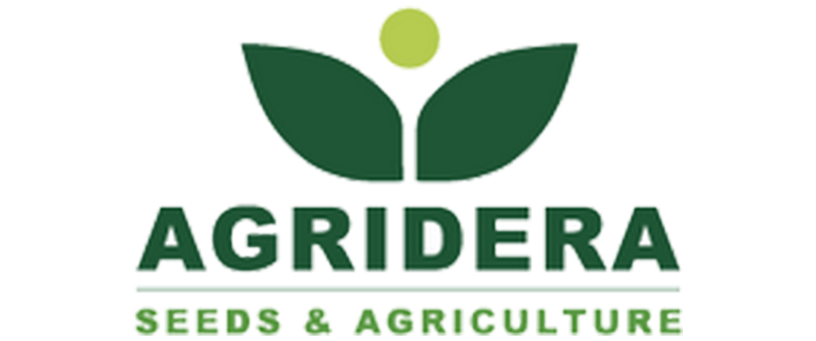 AGRIDERA Seeds & Agriculture Ltd.——種子