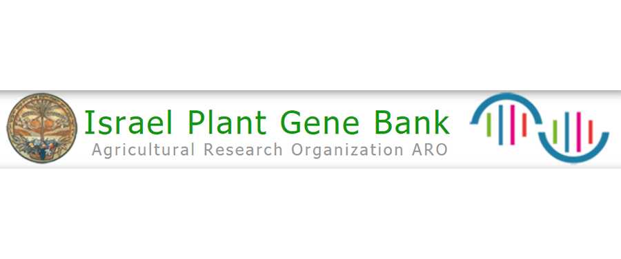 Israel Plant Gene Bank——以色列植物基因庫