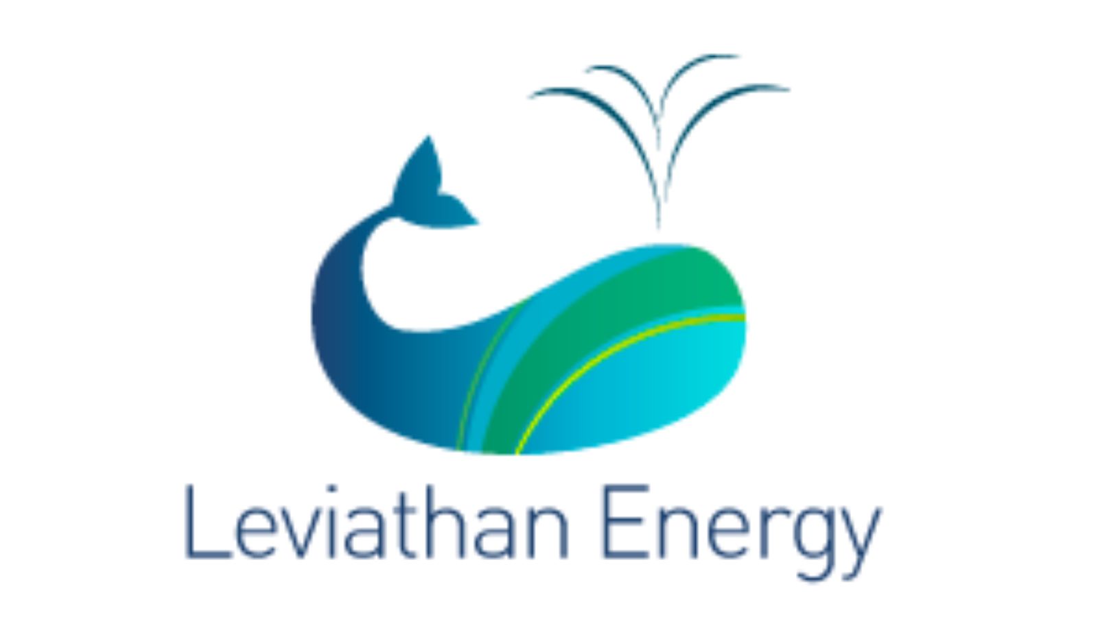 以色列利維坦能源公司LEVIATHAN ENERGY致力于風(fēng)能，水能和波浪能相關(guān)新能源技術(shù)開發(fā)