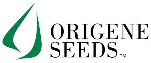 Origene Seeds——植物繁殖材料,葫蘆科植物育種